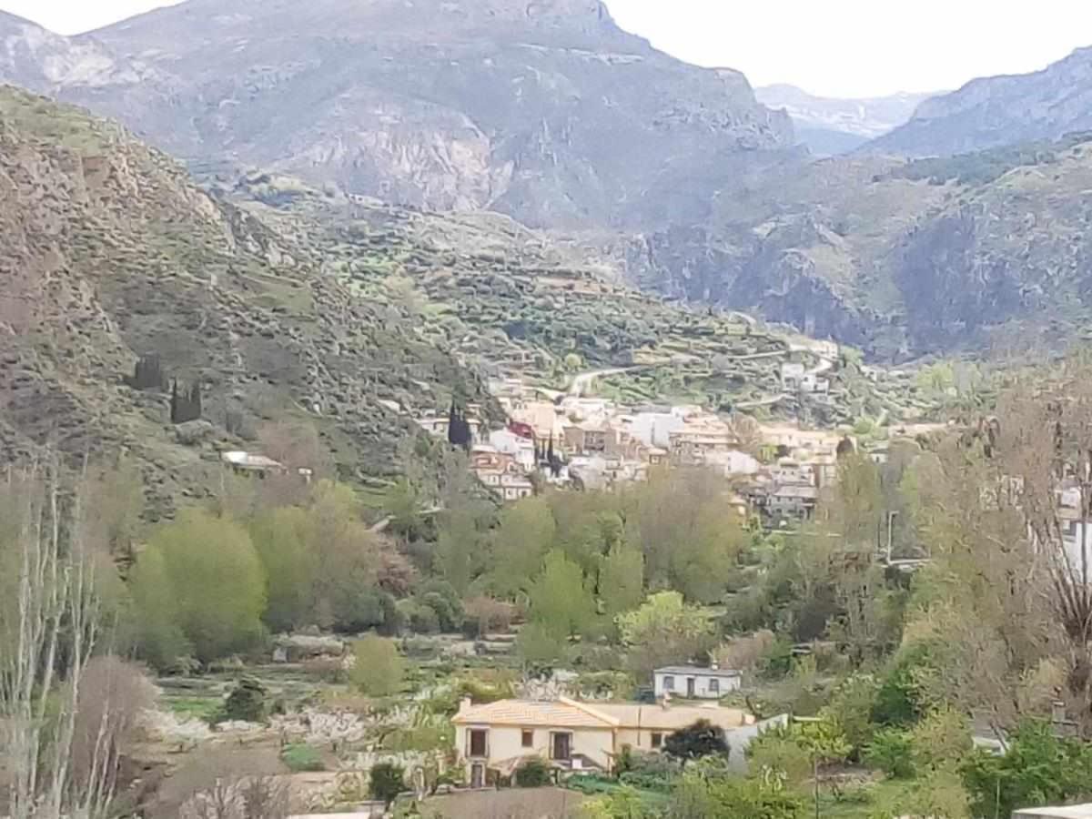Casa Rural Las Huertas De Roque 모나칠 외부 사진