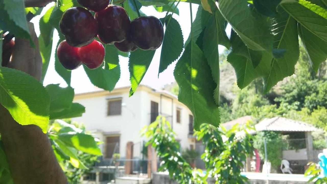 Casa Rural Las Huertas De Roque 모나칠 외부 사진
