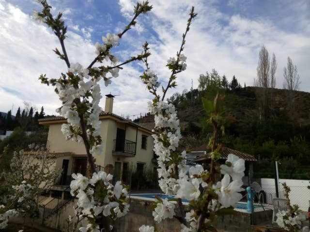 Casa Rural Las Huertas De Roque 모나칠 객실 사진