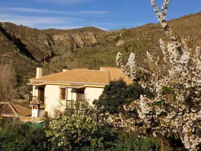 Casa Rural Las Huertas De Roque 모나칠 객실 사진