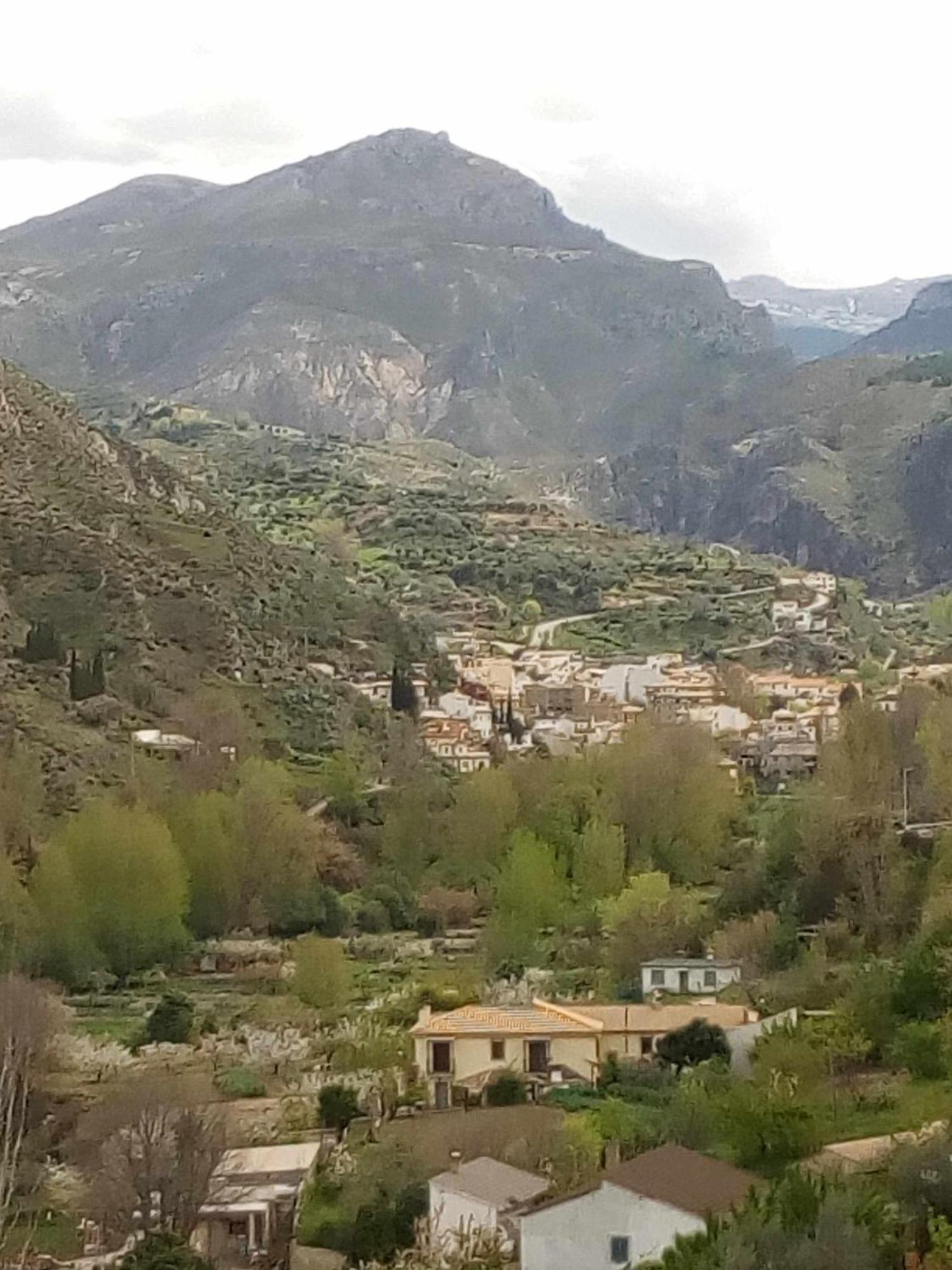 Casa Rural Las Huertas De Roque 모나칠 객실 사진